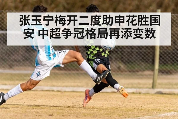 张玉宁梅开二度助申花胜国安 中超争冠格局再添变数